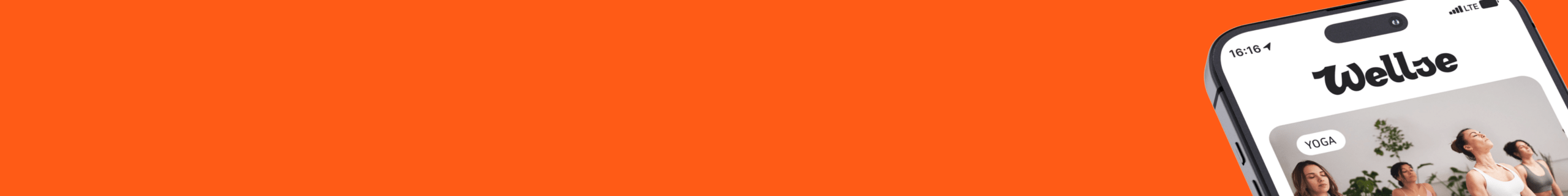 Брендинг для wellness-стартапа Wellse
