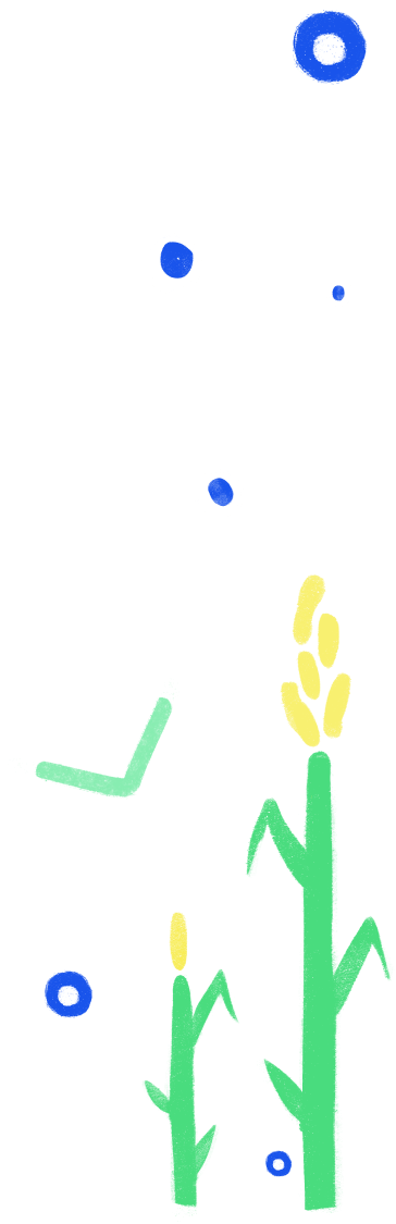 Фирменная иллюстрация для сайта OneSoil. Зеленые растения