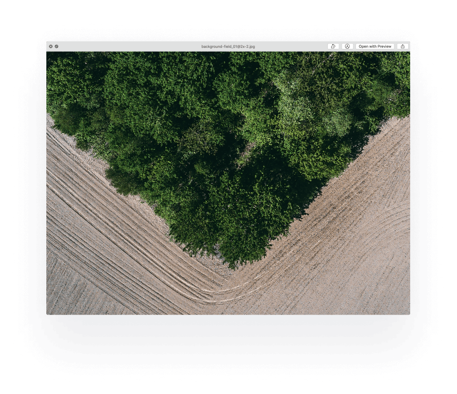 Фотография Славы Мазая для сайта OneSoil. Лес и поле, снятые с квадрокоптера.