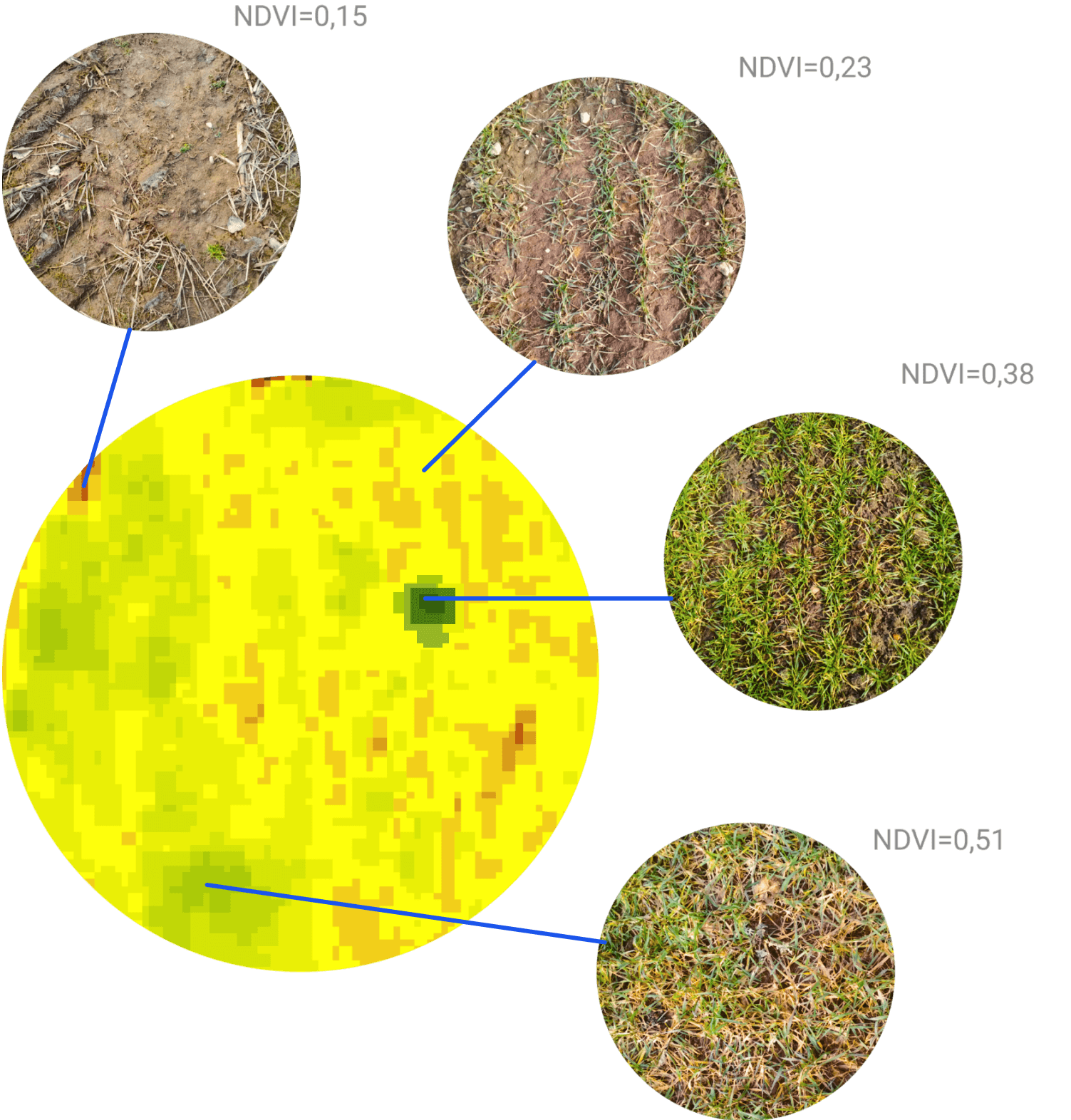 Отображение четырех состояний индекса NDVI, разработка сайта Onesoil