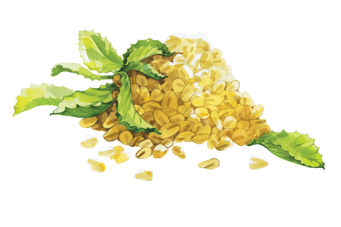 Кейс Food to Live. Акварельная иллюстрация