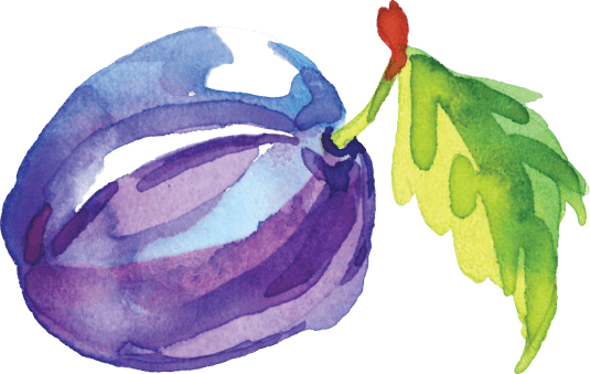 Кейс Food to Live. Акварельная иллюстрация